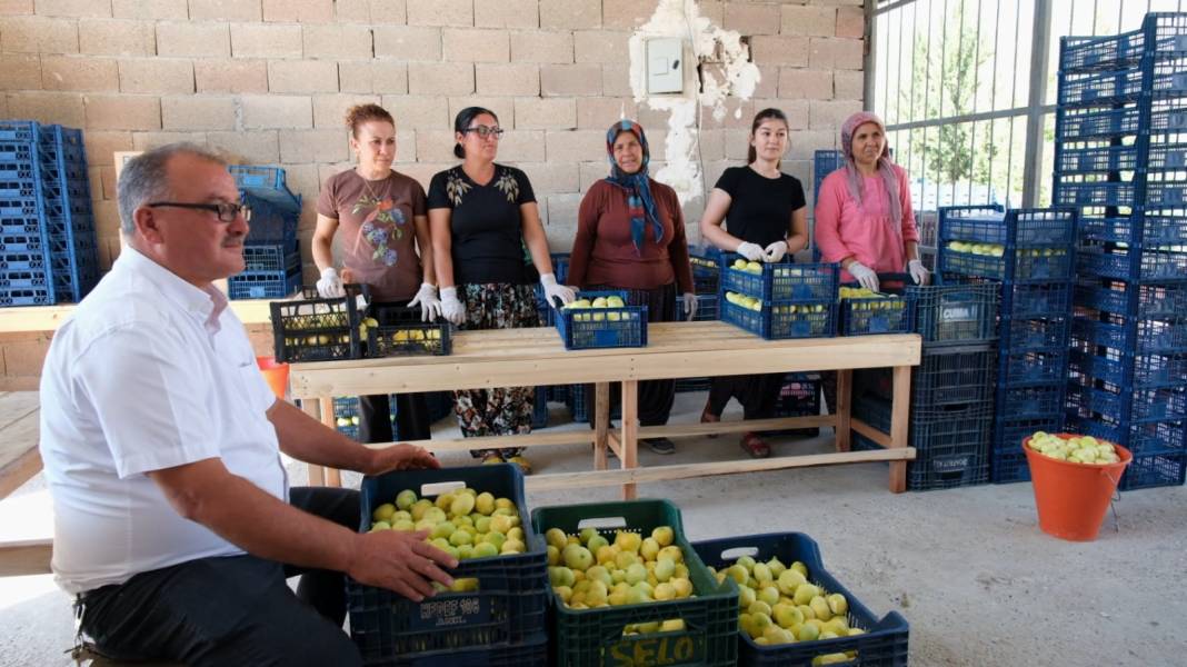 Kilosu 85 liradan satılıyor: Türkiye'nin dört bir yanından siparişe yetişemiyorlar 7